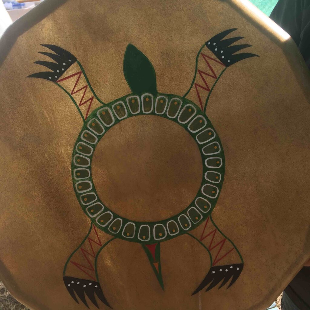 turtle themed hand drum kelly looking horse